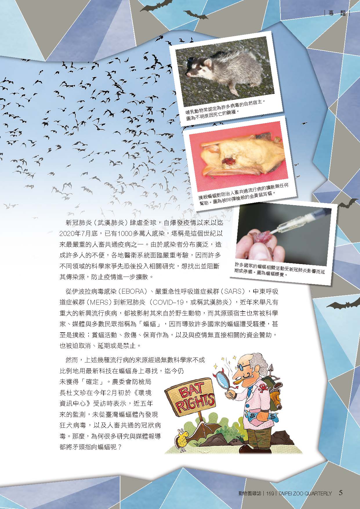 2張恒嘉。2020。蝠兮-蝙蝠病毒與人。動物園雜誌，159期，頁-。 - 複製 (2).jpg