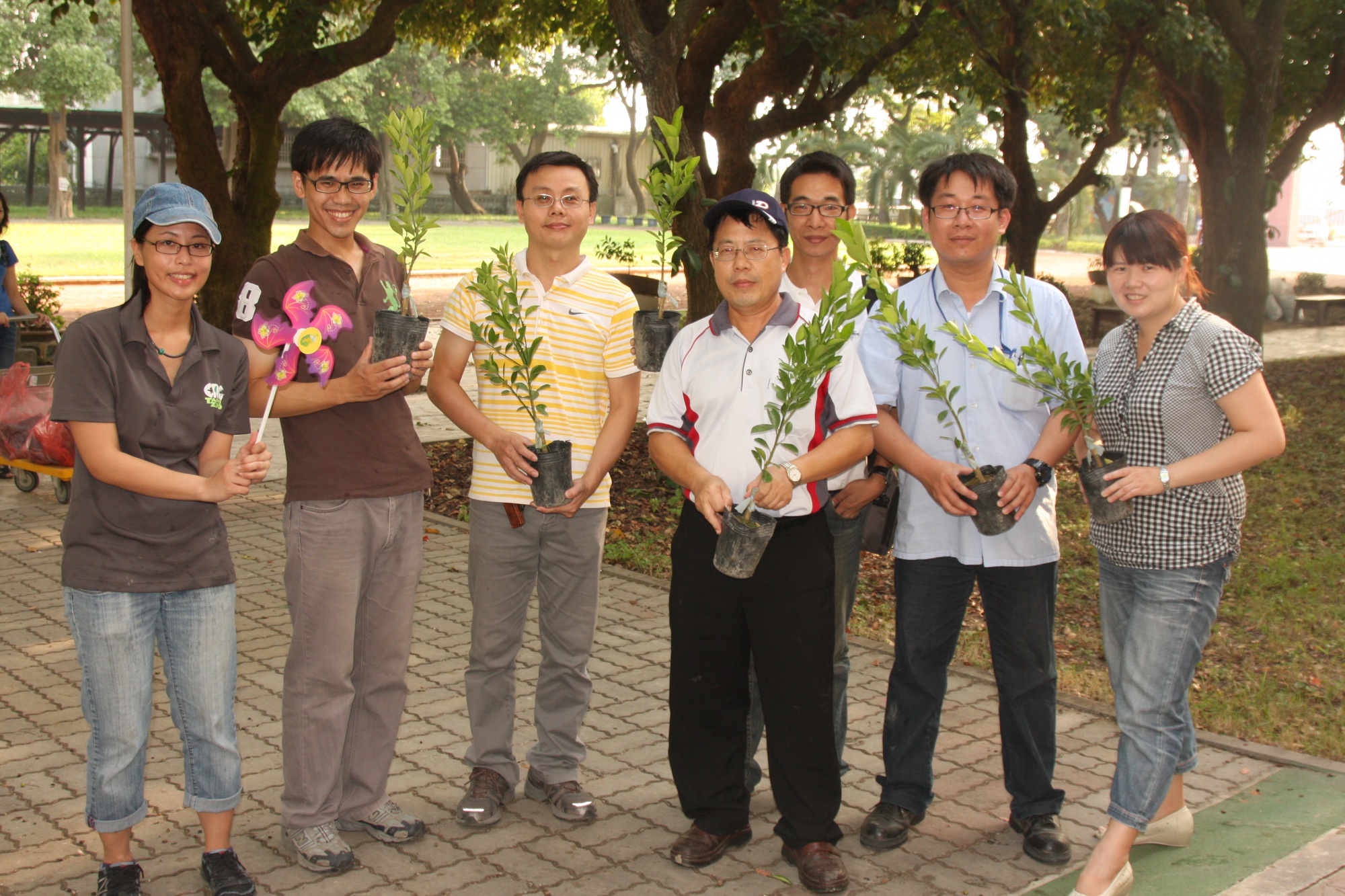 水林鄉公所曾跟我們合作鼓勵農民種植黃金蝙蝠的棲樹