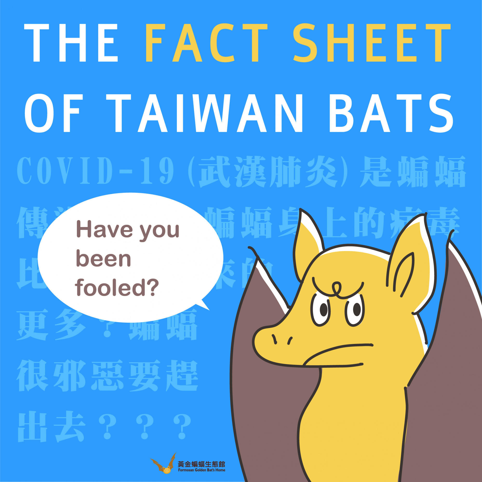 懶人包00.jpg