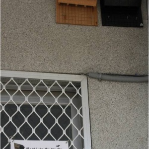 2008年七股地區許多學校與黑琵中心架設的蝙蝠屋是我們設計的