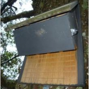 2008年安裝在玉山國家公園楠溪林道樹上的蝙蝠屋