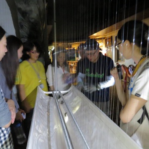 2016年黃金蝙蝠營-豎琴網捕捉東亞家蝠