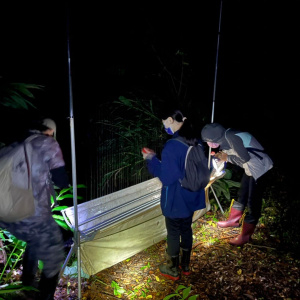 學員正在檢視自行架設的豎琴網