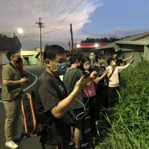 東亞家蝠社會叫聲錄音活動